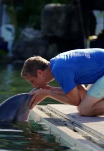 Dolphin Island (2020) เกาะโลมา
