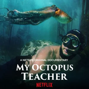 My Octopus Teacher (2020) บทเรียนจากปลาหมึก