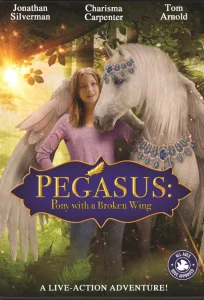 Pegasus Pony with a Broken Wing (2019) ม้าเพกาซัสที่มีปีกหัก