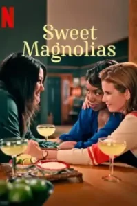 Sweet Magnolias Season 4 (2025) สวีท แมกโนเลีย หวาน กร้าว แกร่ง ซีซั่น 4