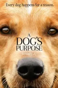 A Dog’s Purpose (2017) หมา เป้าหมาย และเด็กชายของผม