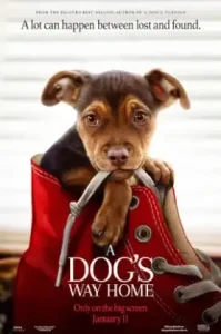A Dog’s Way Home (2019) เพื่อนรักผจญภัยสี่ร้อยไมล์