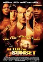 After the Sunset (2004) พยัคฆ์โคตรเพชร