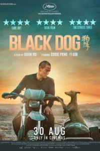 Black Dog (2024) สี่ขาหัวใจไม่ดำ