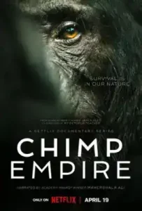 ดูซีรี่ย์ Chimp Empire ตอนล่าสุด จบ