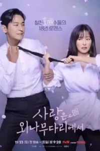 Love Your Enemy (2024)