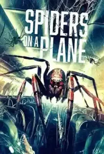 Spiders on a Plane (2024)