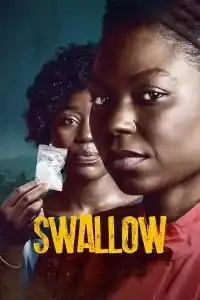 Swallow (2021) กล้ำกลืน NETFLIX