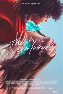 The Sky Is Everywhere (2022)